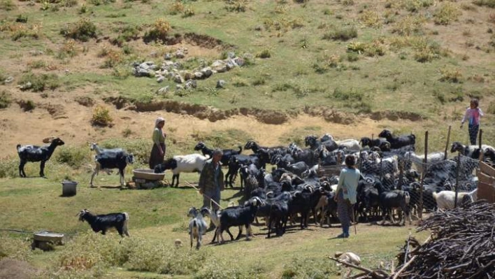 Başkan Akın, 'Devlet ve hükümet çok güzel destekler veriyor'