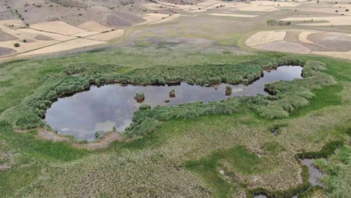 Habitat harikası göl, maden ocağı tehdidi altında