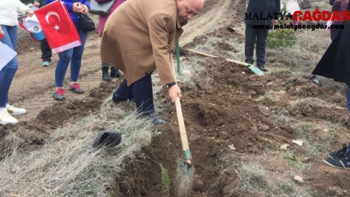 HAK-İŞ İdlib şehitleri anısına yüzlerce fidanı toprakla buluşturdu