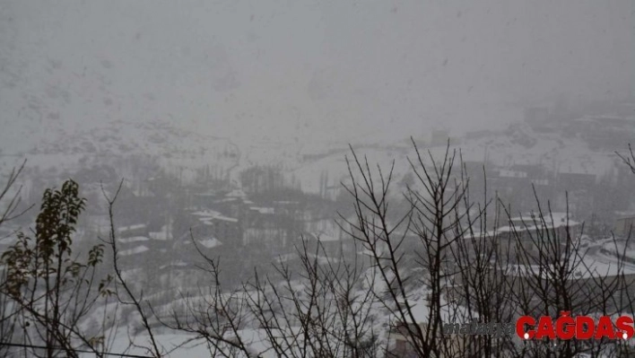 Hakkari'de 24 köy ve 51 mezra yolu ulaşıma kapandı