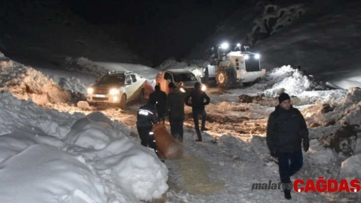 Hakkari'de dağlık alanda mahsur kalan atlar kurtarıldı