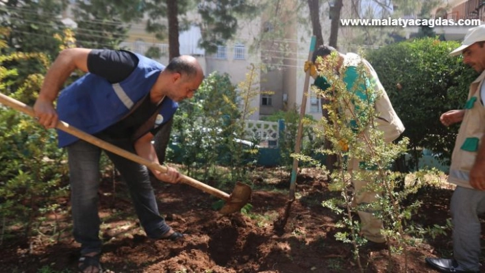 Haliliye'de parklar yenileniyor