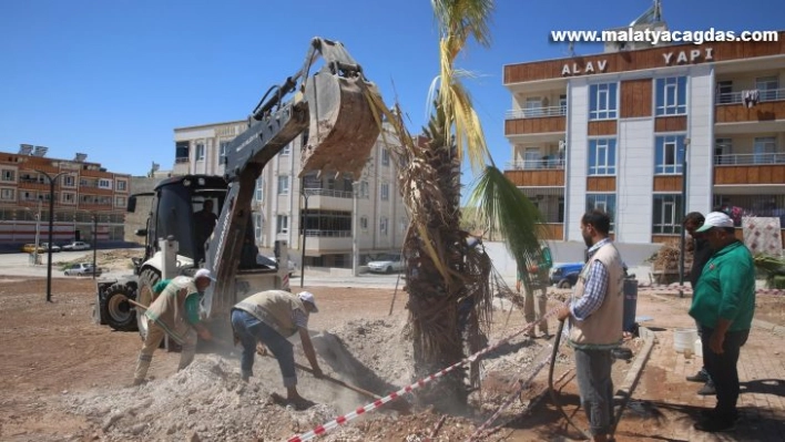 Haliliye'de parklarda sonbahar hazırlığı