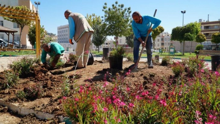 Haliliye'de parklarda yenileme çalışması