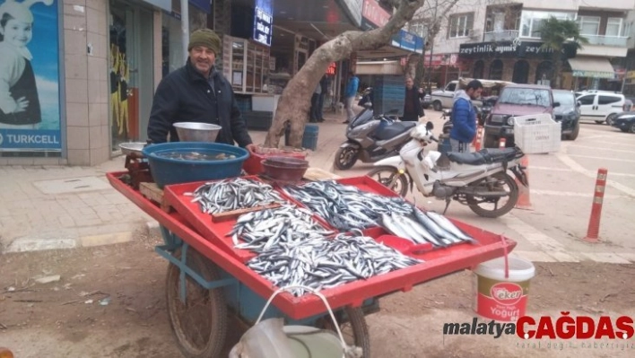 Hamsi bollaştı, tezgahlarda fiyatlar düştü