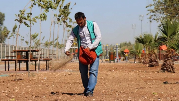 Harran Kent Parkında çimlendirme çalışması başlatıldı