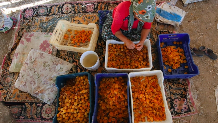 Hasadı biten kayısı 'patik'le işçisine kazandırıyor