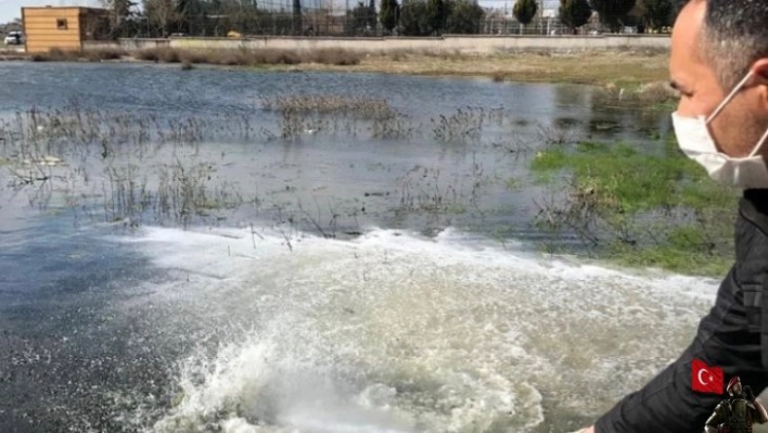 Haşere ilaçlamaları başladı