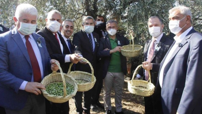 Hatay'da 'Zeytin ve Zeytinyağı Festivali' coşkusu