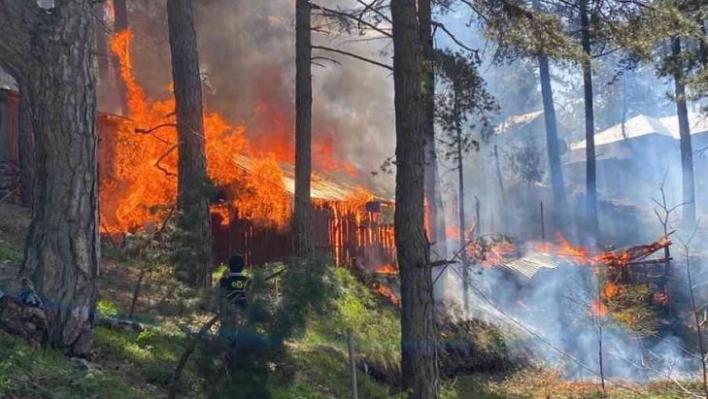 Hatay'da Amanoslar Üçkoz Yaylasında çıkan yangında 5 ev yandı