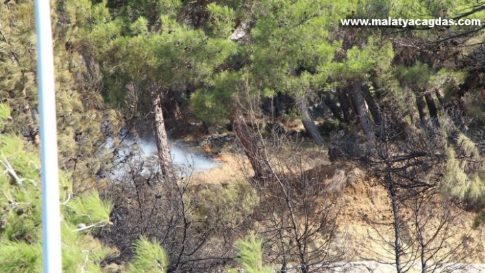 Hatay'da çıkan orman yangını kontrol altına alındı