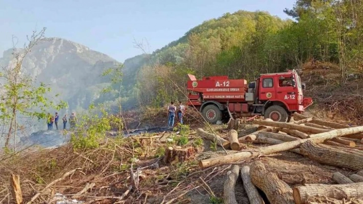 Hatay'da çıkan orman yangını söndürüldü