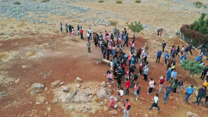 Hatay'da dağ ceylanlarına ayda iki bin ziyaretçi