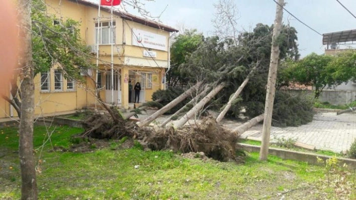 Hatay'da fırtına çatıları uçurdu ağaçları kökünden söktü