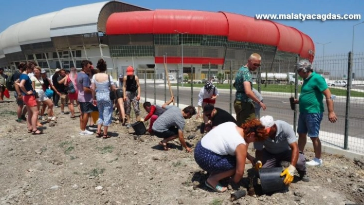 Hatay'da misafir müzisyenler fidanları toprakla buluşturdu