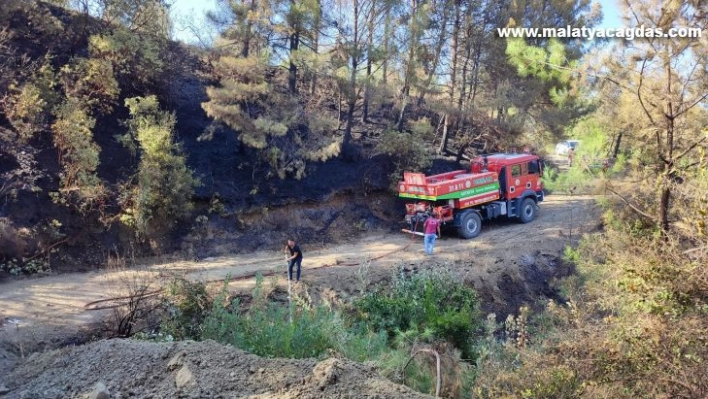 Hatay'da orman yangını kontrol altına alındı