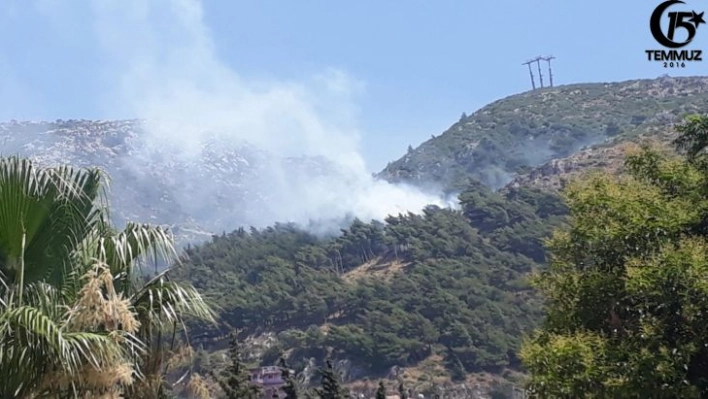 Hatay'da orman yangını