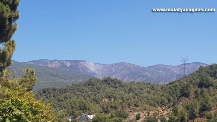 Hatay'da orman yangını