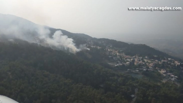 Hatay'da orman yangını