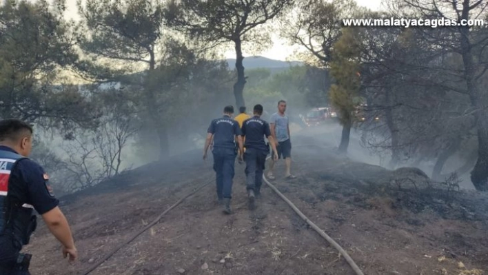 Hatay'da orman yangını