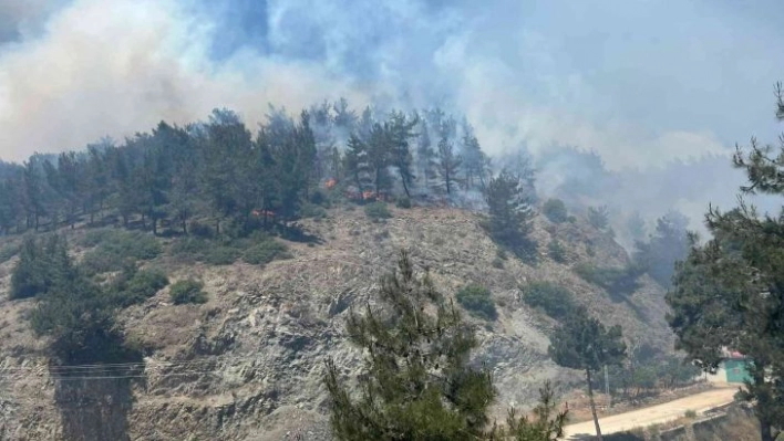 Hatay'da orman yangınına karadan ve havadan müdahale