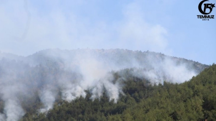 Hatay'da orman yangınına müdahale sürüyor