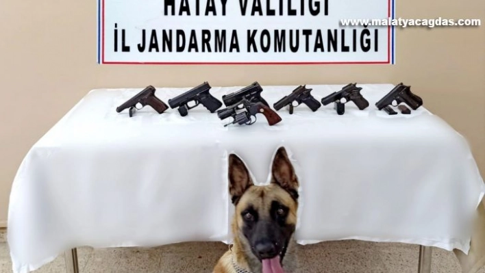 Hatay'da silah kaçakçılığı