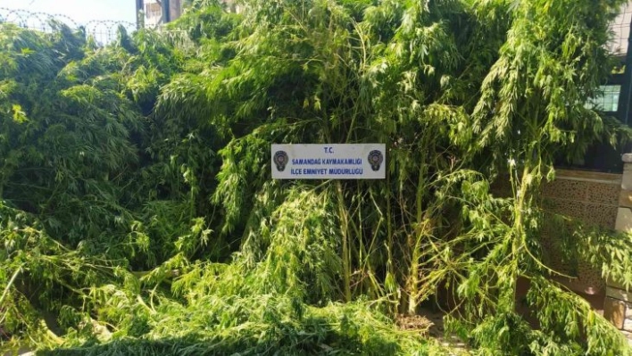 Hatay'da uyuşturucu operasyonları