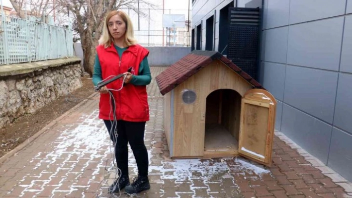 Hava almaya çıkardılar döndüklerinde bulamadılar, bulana ne isterse verilecek