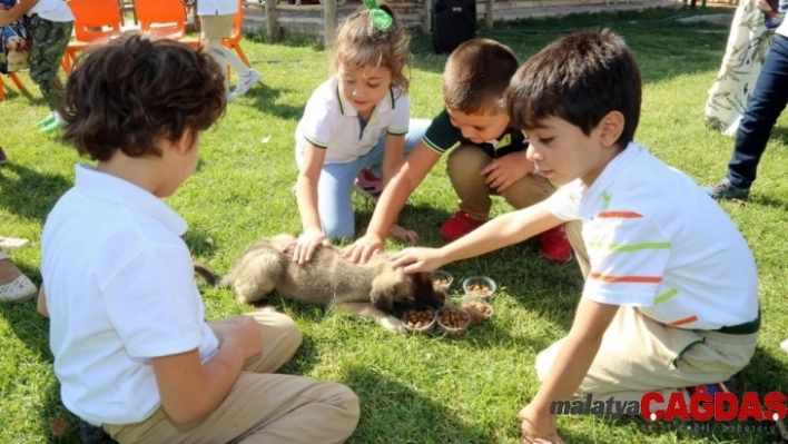 Hayvan sevgisini aşılayan örnek proje