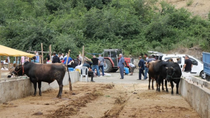 Hayvancılıkta 'Sözleşmeli Besicilik' dönemi