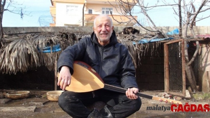 Hayvanlara bağlama konseri