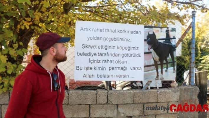 Hayvanseverden köpeğini şikayet edenlere pankartlı sitem