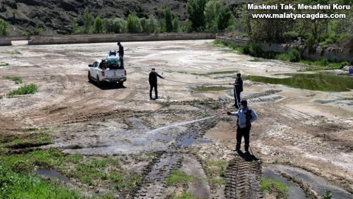 Hekimhan'da vektörel mücadelesi hız kesmiyor