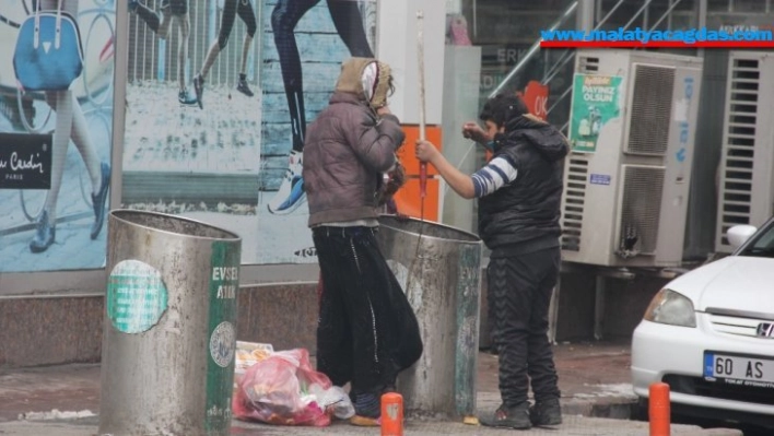 Hiçbir şeye aldırmadan çöp bidonuna daldılar