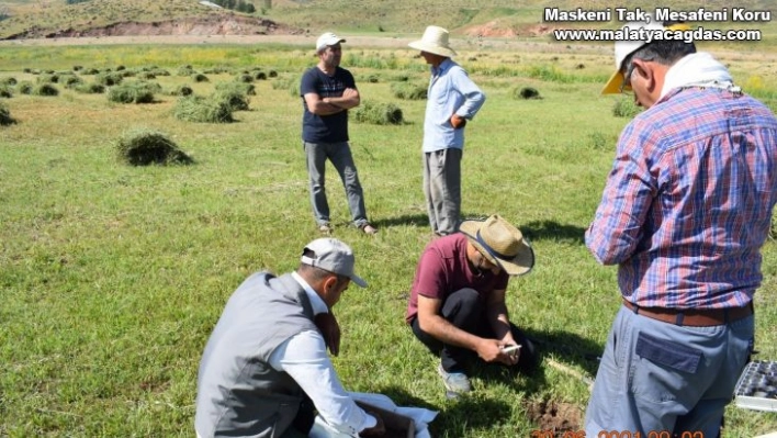 HRÜ'nün pamuk verimi ile ilgili projesi TÜBİTAK tarafından kabul edildi