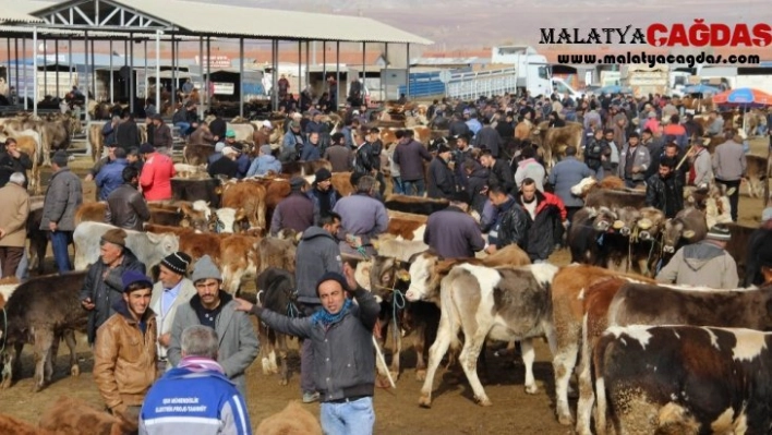 İç Anadolu'nun en büyük hayvan pazarına şap tedbiri