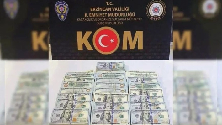 Iğdır'da dolar gasp ettiği öne sürülen şüpheli Erzincan'da yakalandı