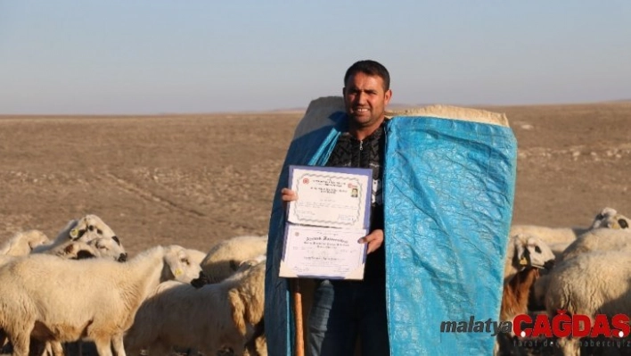 İki yabancı dil bilen aday öğretmen çobanlık yapıyor