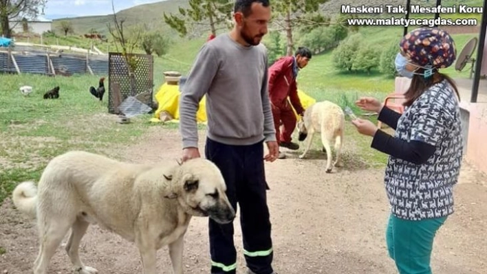 İmranlı'da üreticiler delibaş hastalığına ilişkin bilgilendirildi