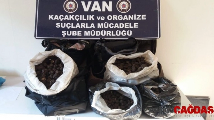 İran uyruklu şahısların valizlerinde 83 kilo Trüf mantarı çıktı