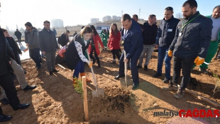 İzmit'te 750 adet fidan toprakla buluştu