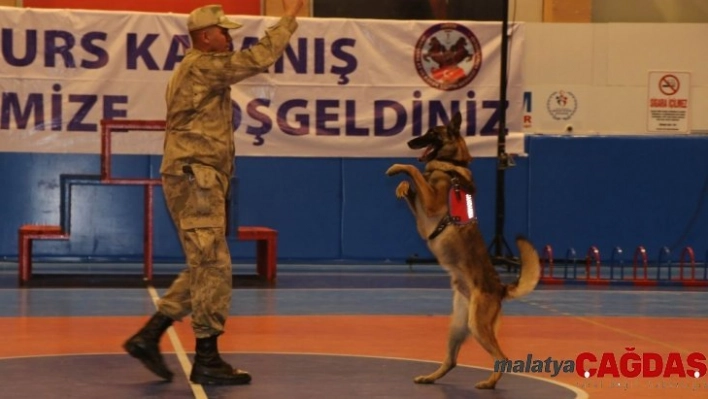 JAKEM'de eğitimi tamamlayan 62 köpek 31 ilde göreve başlayacak