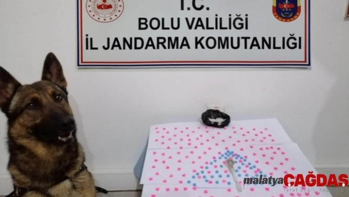 Jandarma ekiplerinden yeni yıl operasyonu