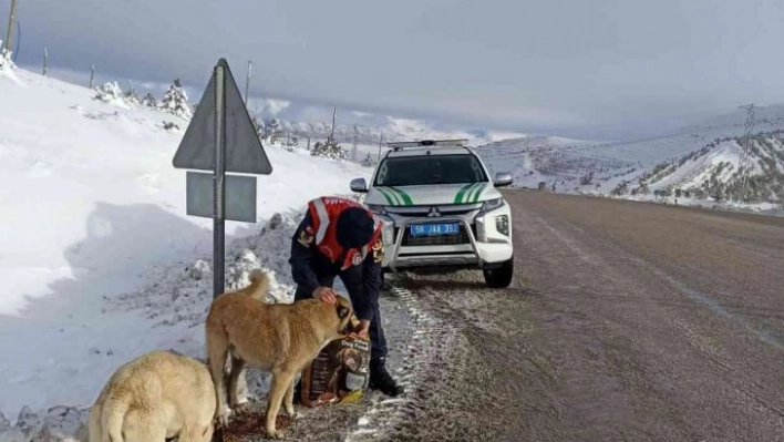 Jandarmada ekipleri hayvanları unutmadı