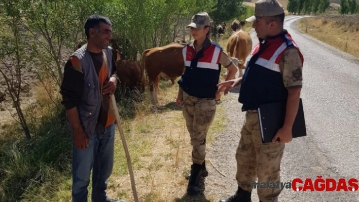 Jandarmadan hayvan hırsızlığına karşı uyarı