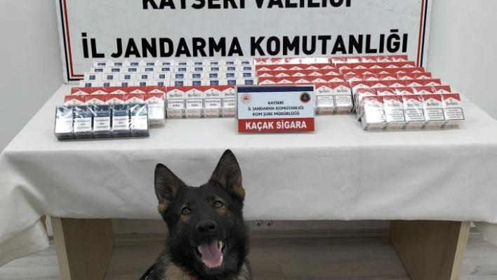 Jandarmadan kaçak sigara operasyonu