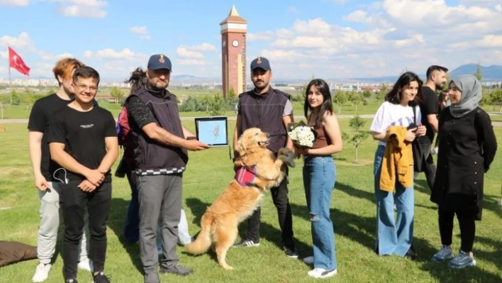 Jandarmanın kahraman köpekleri büyük beğeni topladı