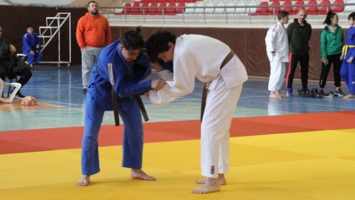 Judoda Analig heyecanı sona erdi