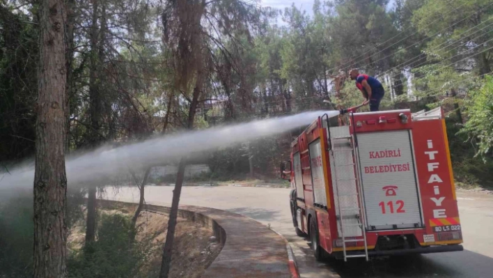 Kadirli'de çamlık alanda çıkan yangın büyümeden söndürüldü